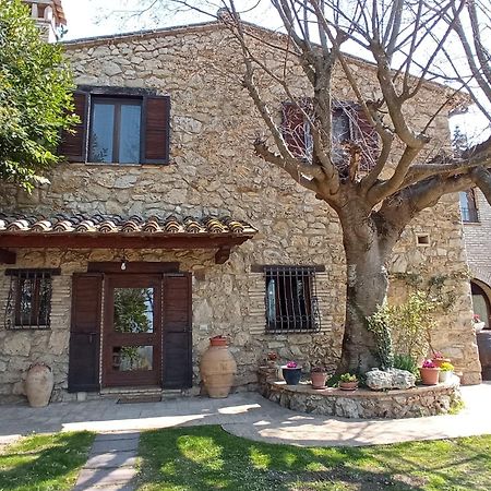 All'Ombra Di San Damiano Ασίζη Εξωτερικό φωτογραφία