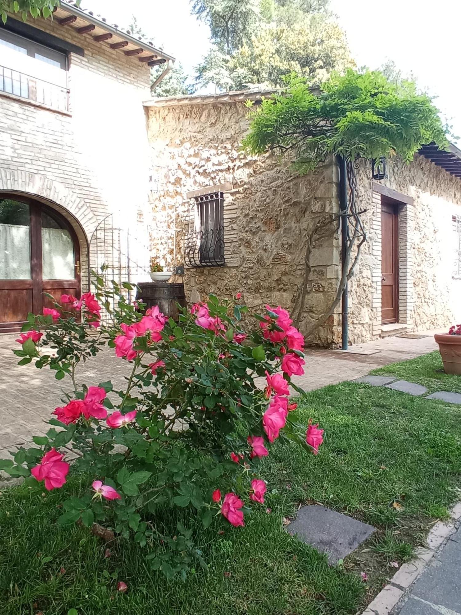 All'Ombra Di San Damiano Ασίζη Εξωτερικό φωτογραφία