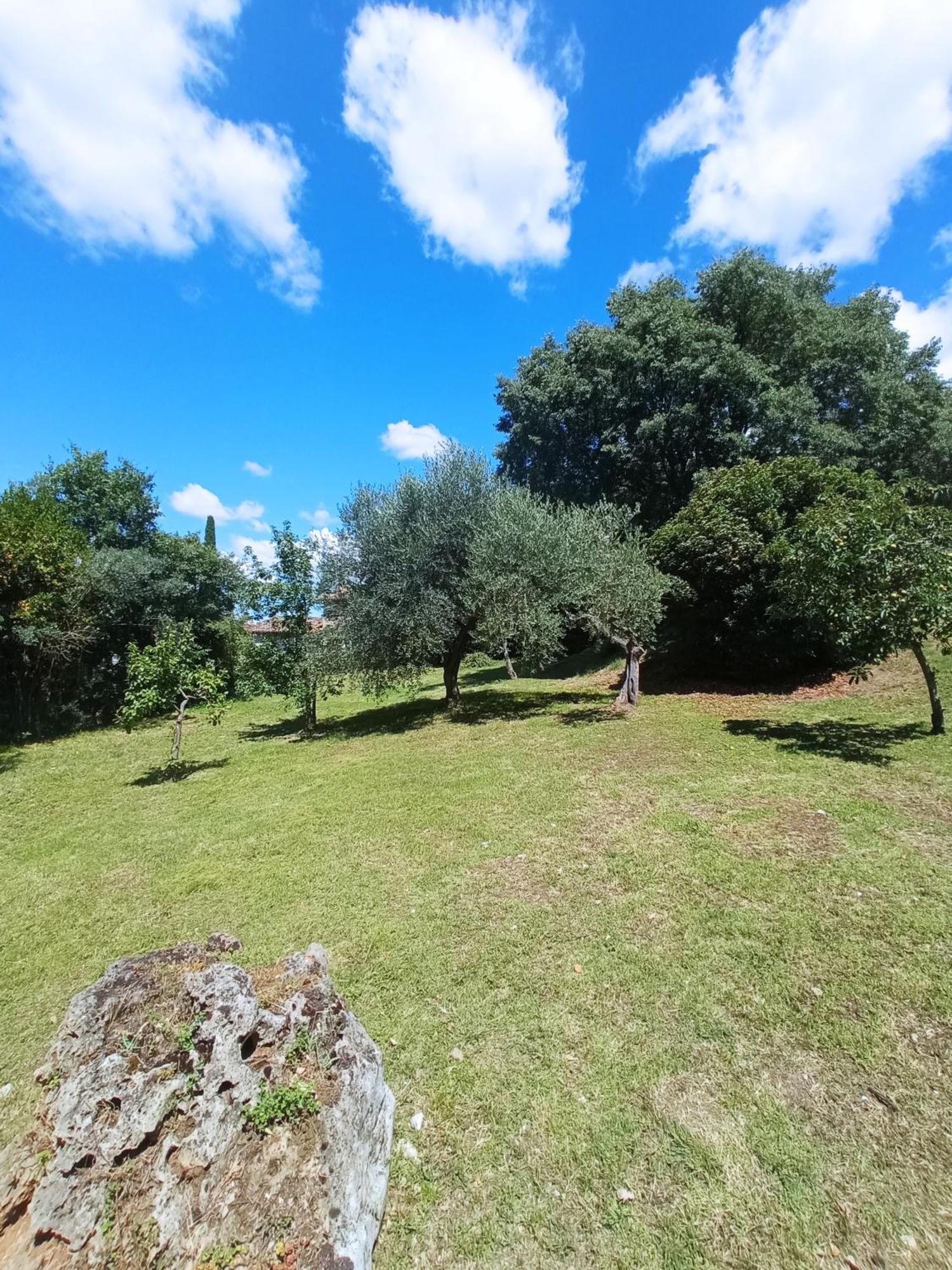 All'Ombra Di San Damiano Ασίζη Εξωτερικό φωτογραφία
