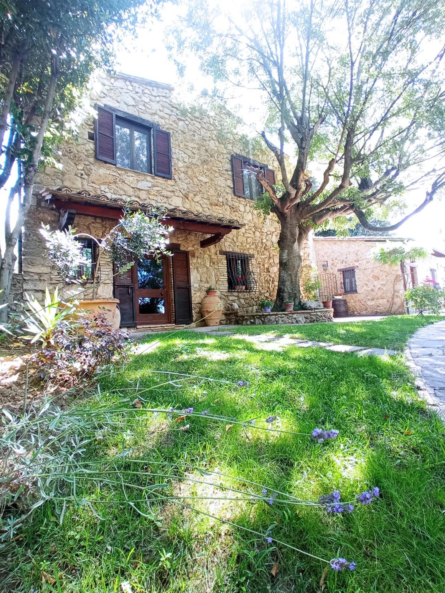 All'Ombra Di San Damiano Ασίζη Εξωτερικό φωτογραφία