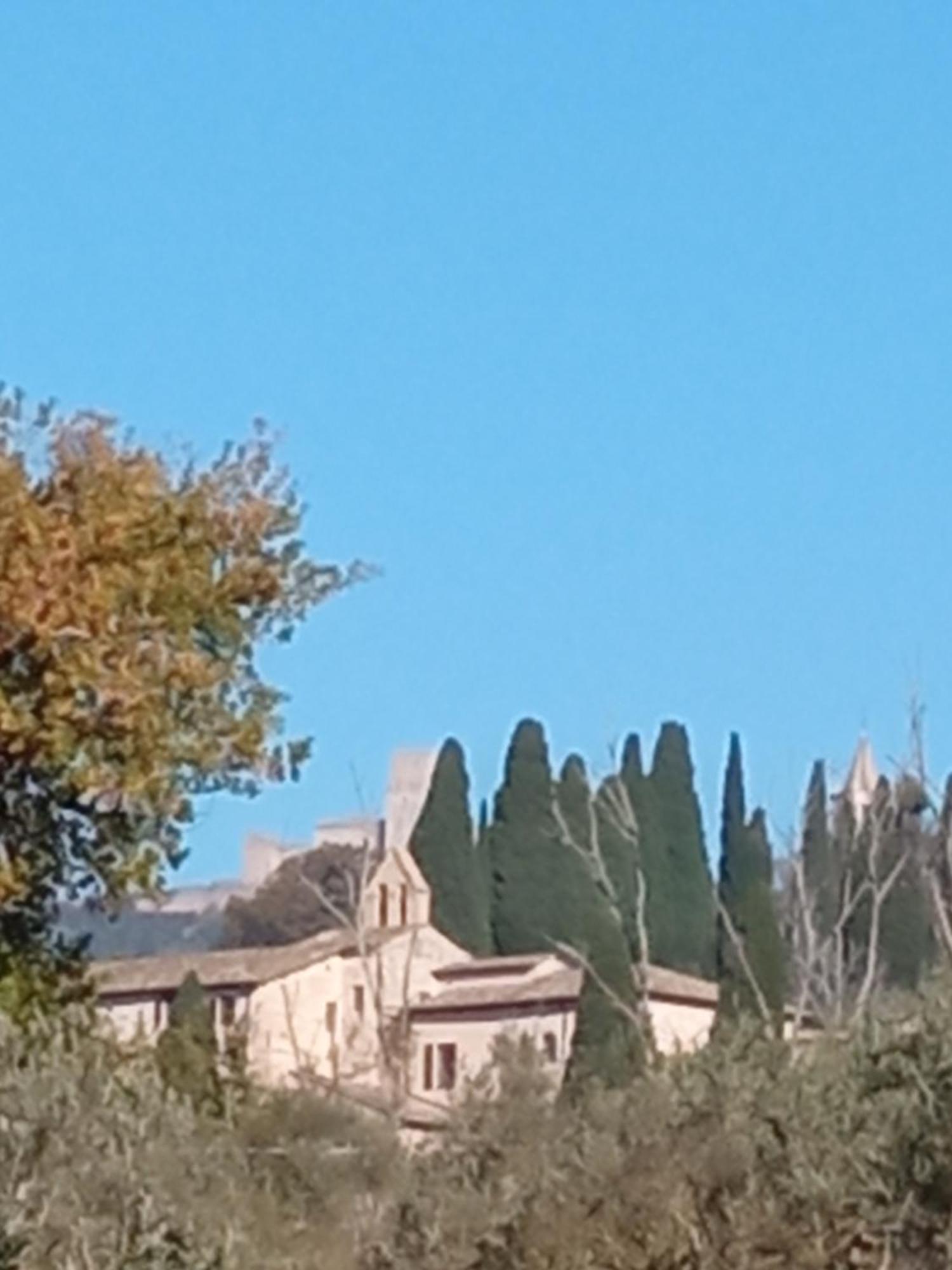 All'Ombra Di San Damiano Ασίζη Εξωτερικό φωτογραφία