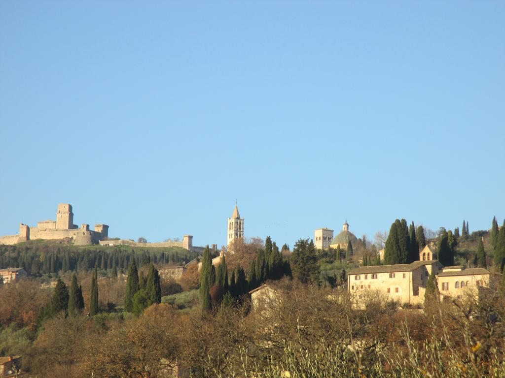 All'Ombra Di San Damiano Ασίζη Εξωτερικό φωτογραφία